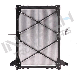 Alternative view of Radiator - 04-08 Freightliner Columbia 120, 115010 with frame