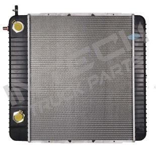 Alternative view of Radiator - 05-08 International 4200I Series